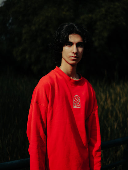 Red Solid Sweatshirt